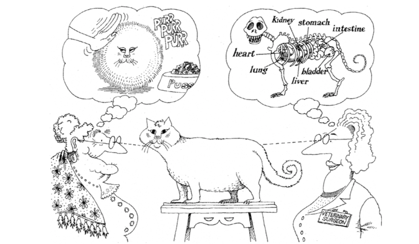 面向对象编程进阶